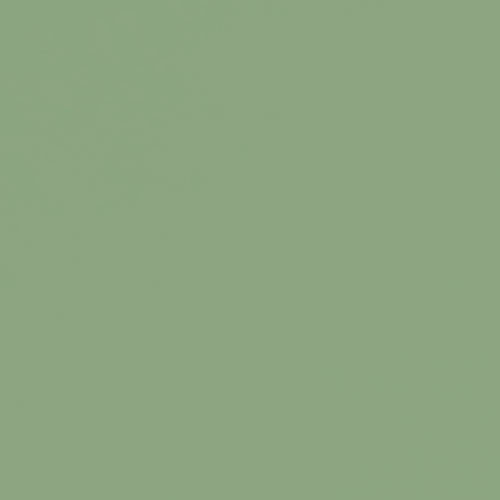 Colorplan Light Cardstock Paper - MID GREEN