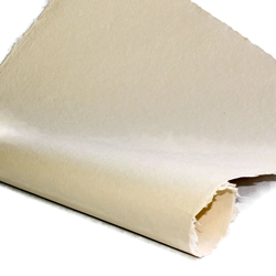 Indian Cotton Paper - Solid - IVORY